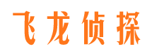 沈丘市调查公司